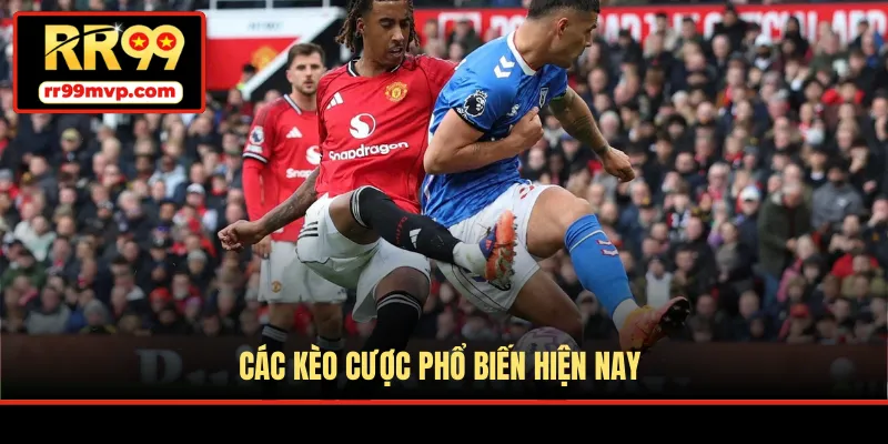 Các kèo cược phổ biến hiện nay