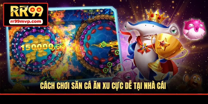 Cách chơi săn cá ăn xu cực dễ tại nhà cái