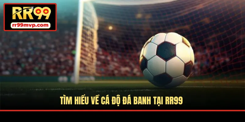 Tìm hiểu về cá độ đá banh tại RR99