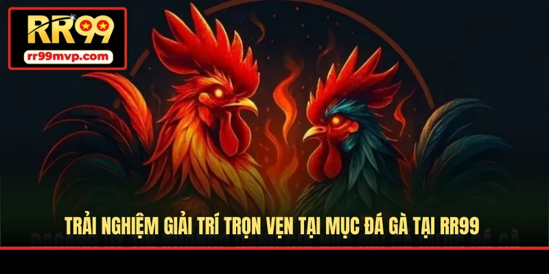 Trải nghiệm giải trí trọn vẹn tại mục đá gà tại RR99