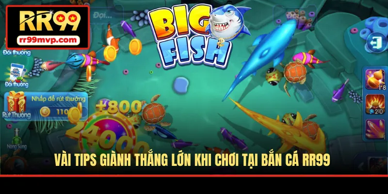 Vài tips giành thắng lớn khi chơi tại bắn cá RR99
